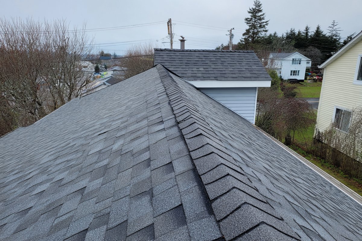 New asphalt shingles and a clean eave edge on a detached Bayside house after a roof replacement