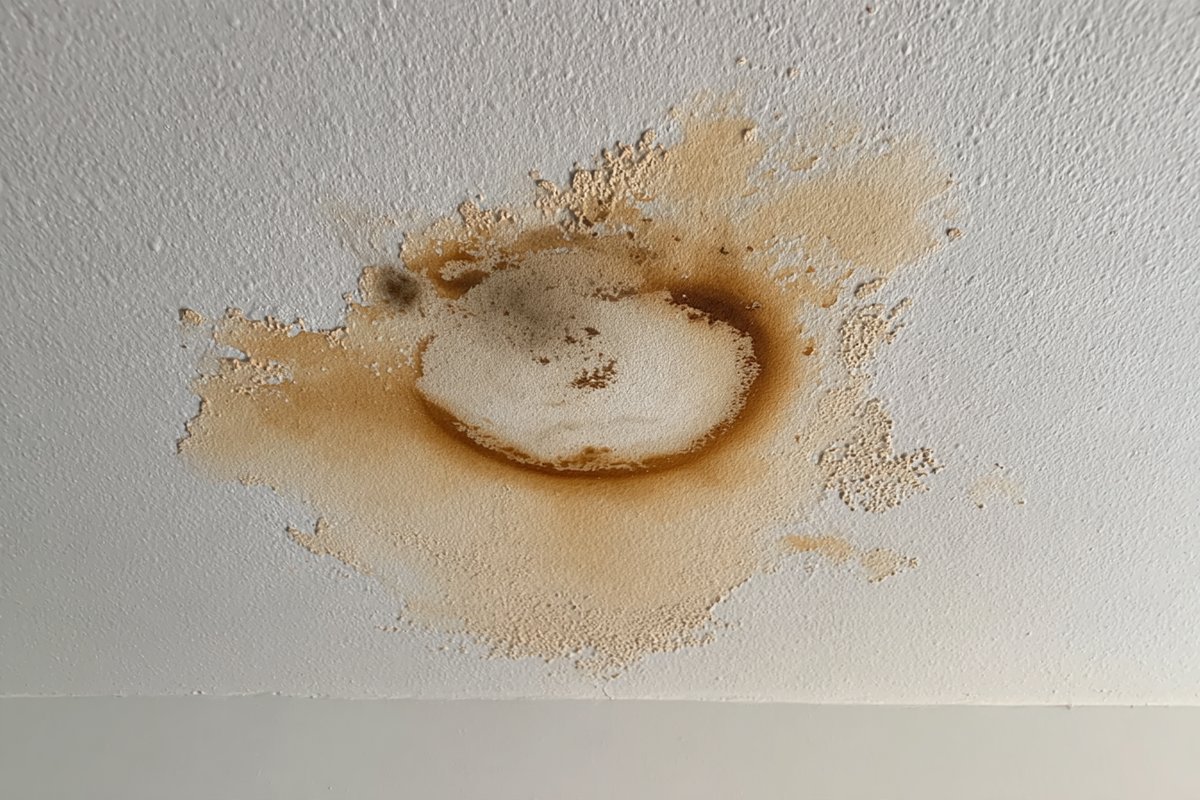 Rust stains and white efflorescence on a top-floor ceiling below a concrete roof