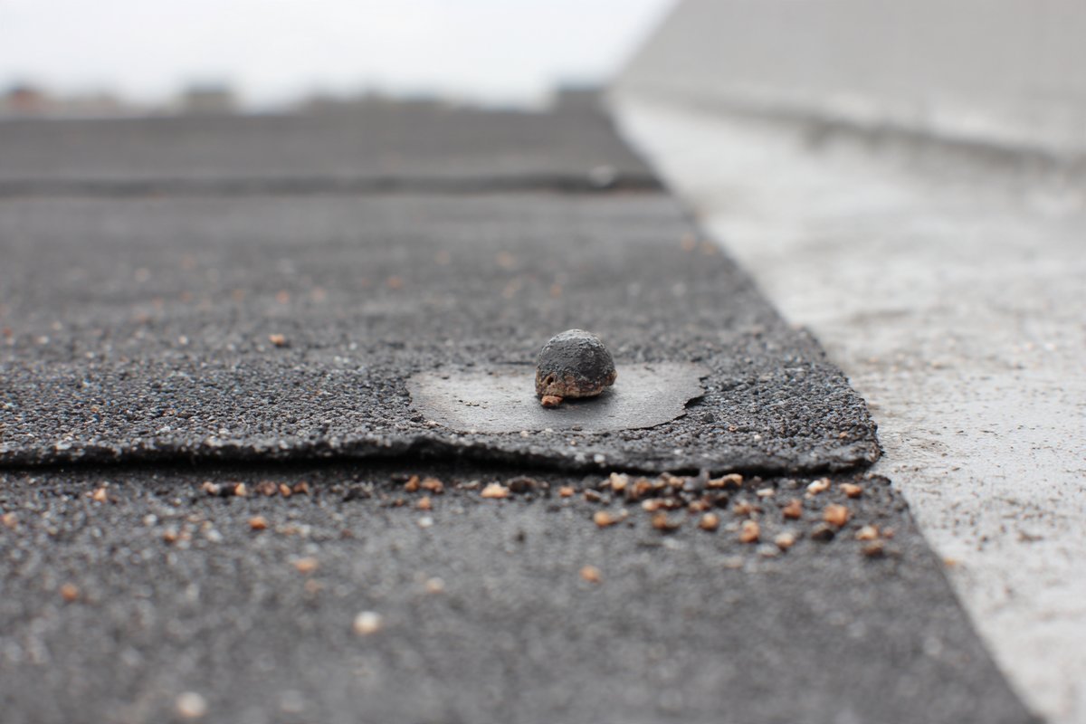 Close-up of a blister and a primed patch on a weathered rubber roof membrane