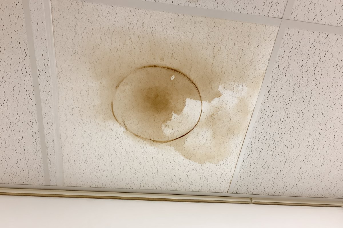 Water-stained ceiling tile inside a Queens retail store, marked where the leak shows