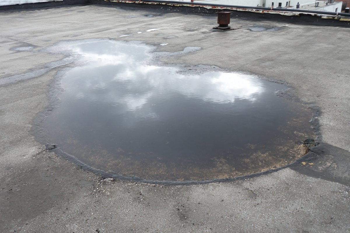 Before: standing water ponding on the same Howard Beach flat roof