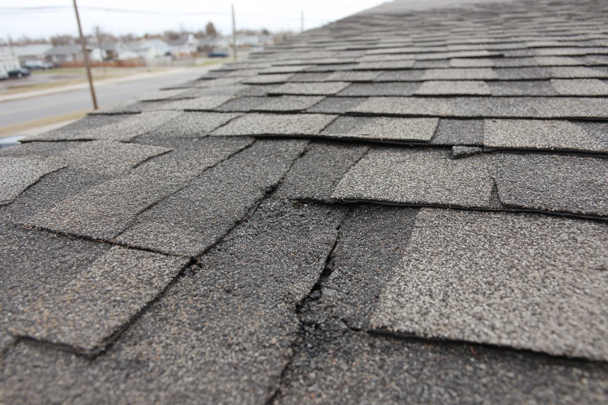 Close-up photo of creased and lifted asphalt shingles with broken seal strips, taken before any repair